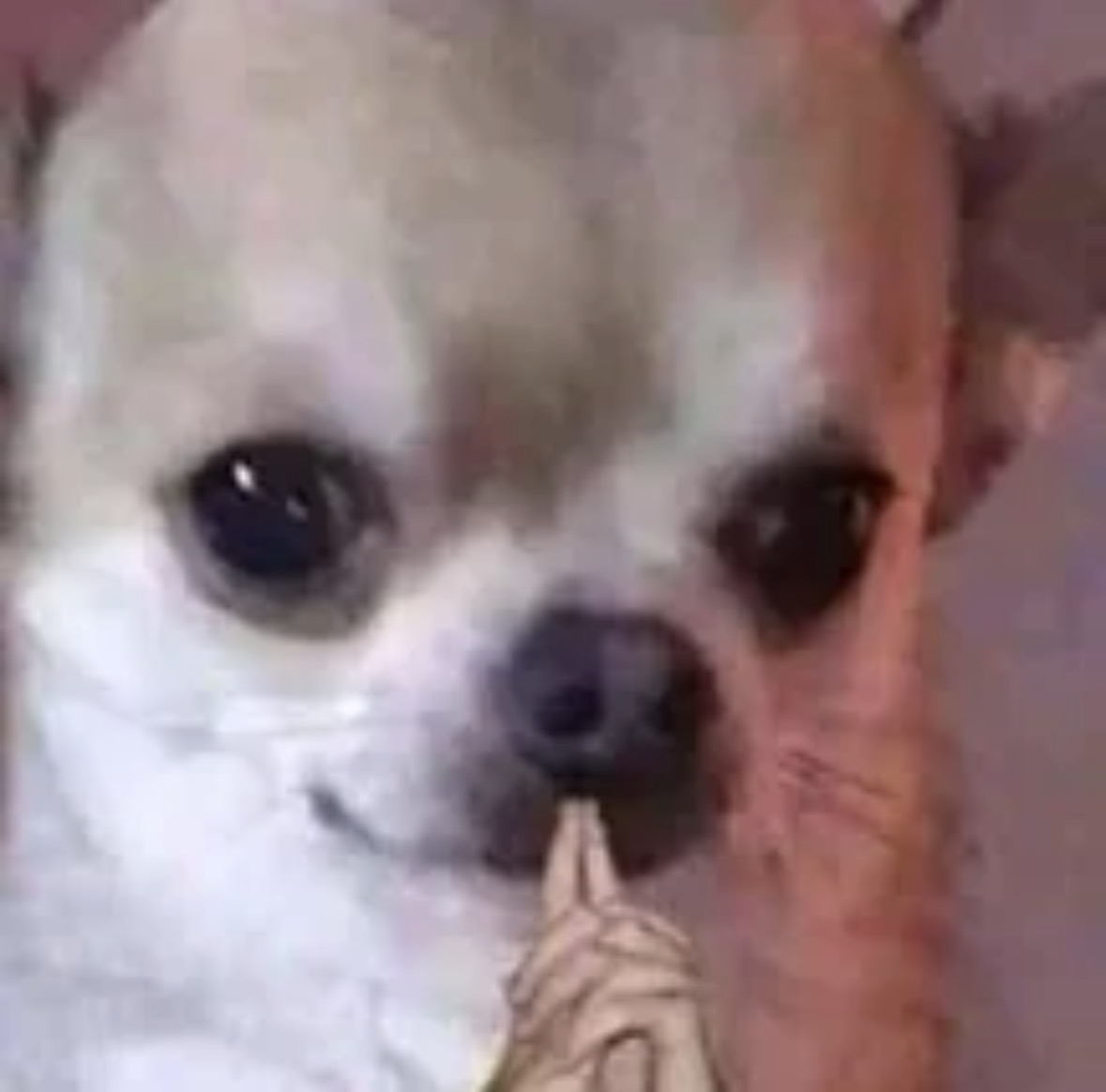deepak